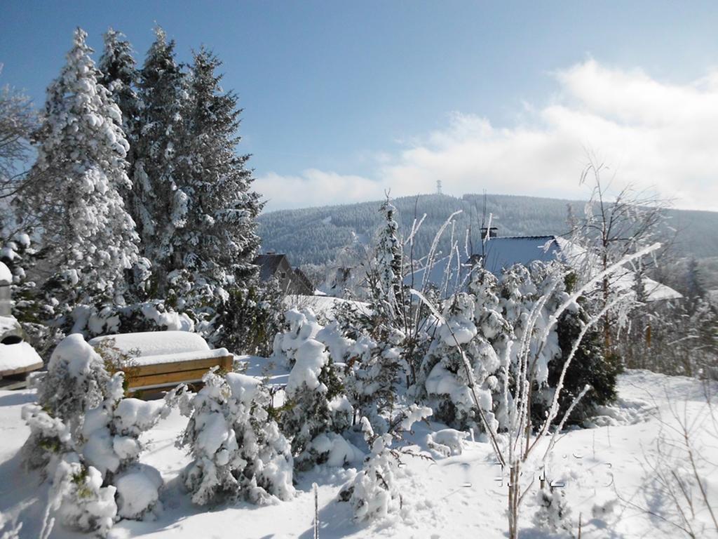 Premium-Ferienwohnungen Bergblick Im Haus Hopfe Goslar Eksteriør bilde