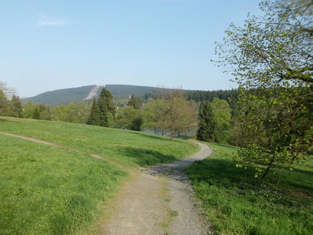 Premium-Ferienwohnungen Bergblick Im Haus Hopfe Goslar Eksteriør bilde