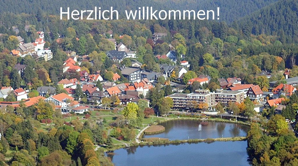 Premium-Ferienwohnungen Bergblick Im Haus Hopfe Goslar Eksteriør bilde